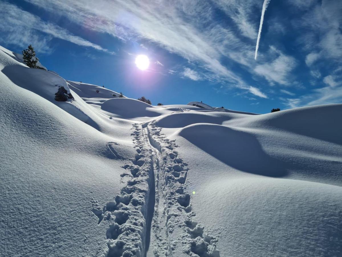 Das Ihaeusl Aschau Im Zillertal エクステリア 写真