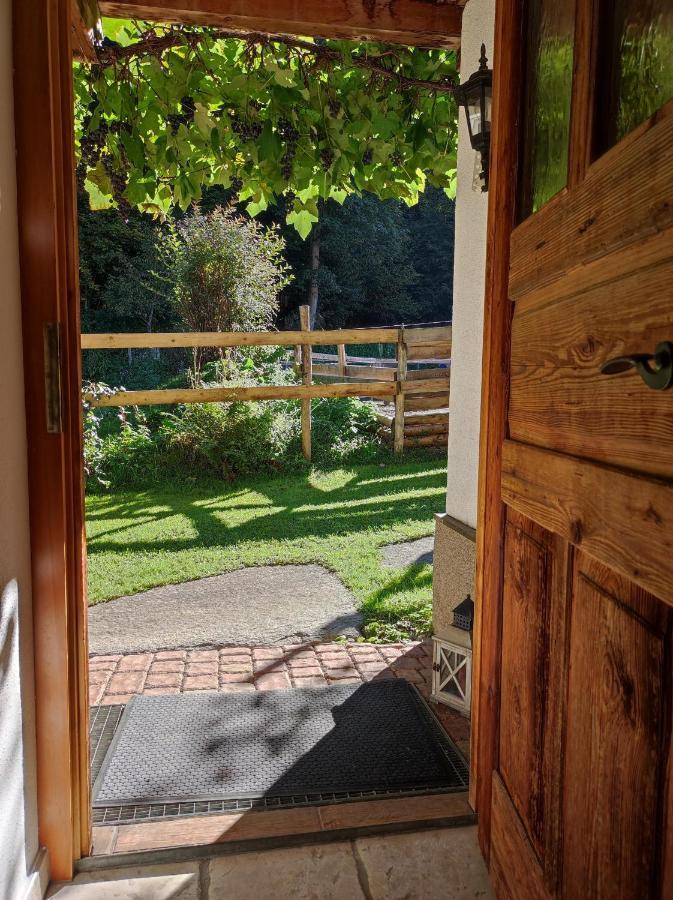 Das Ihaeusl Aschau Im Zillertal エクステリア 写真